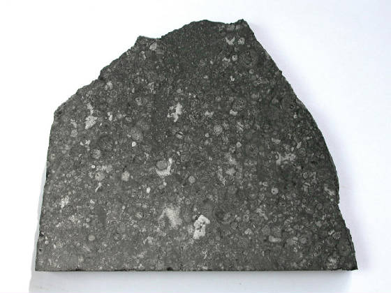 allende.32.1g.a.jpg