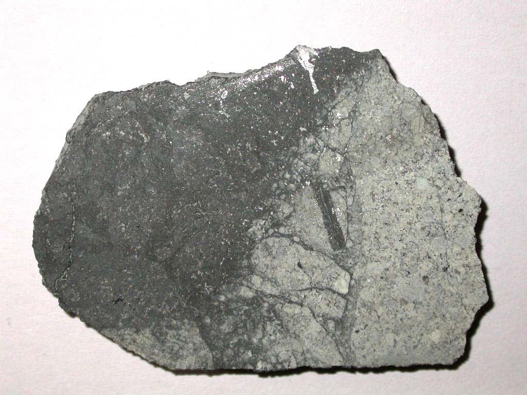 parkforest.jpg