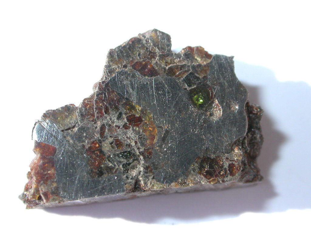 steinbach2.4g.a.jpg