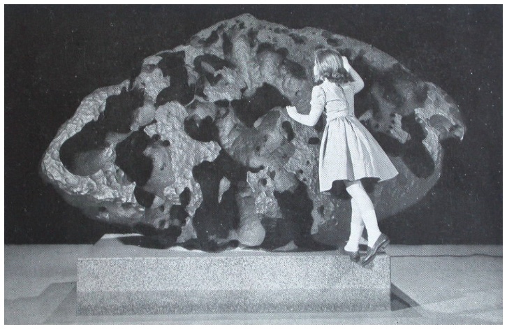 willamette.girl01.jpg