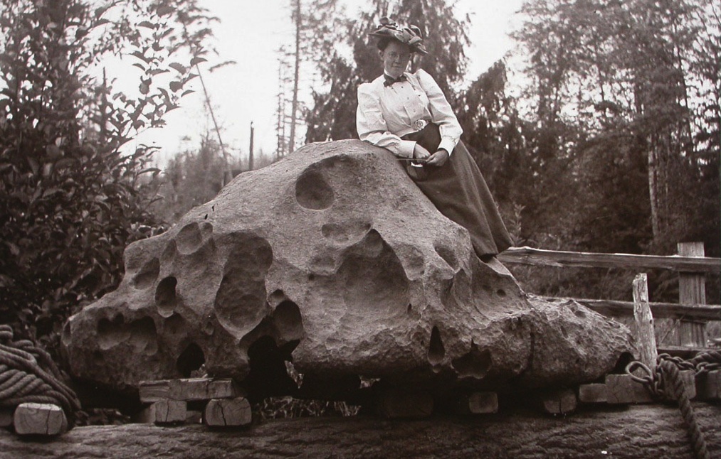 willamette.picture.jpg